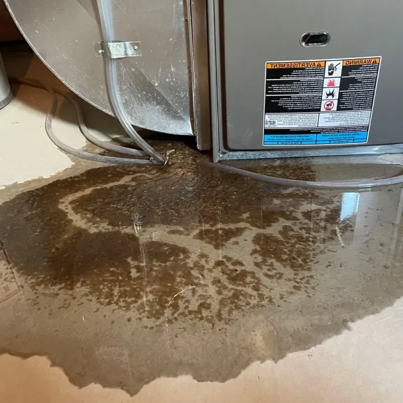 Pipe Burst and Leak Restoration in Tuolumne County, CA