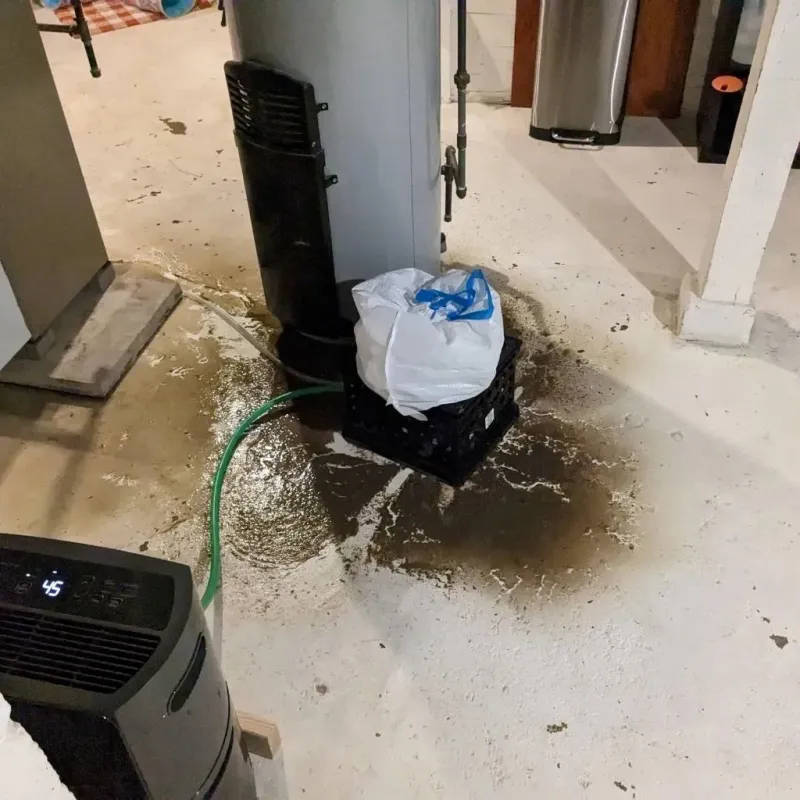 Sewage Backup Cleanup Service in Tuolumne County, CA